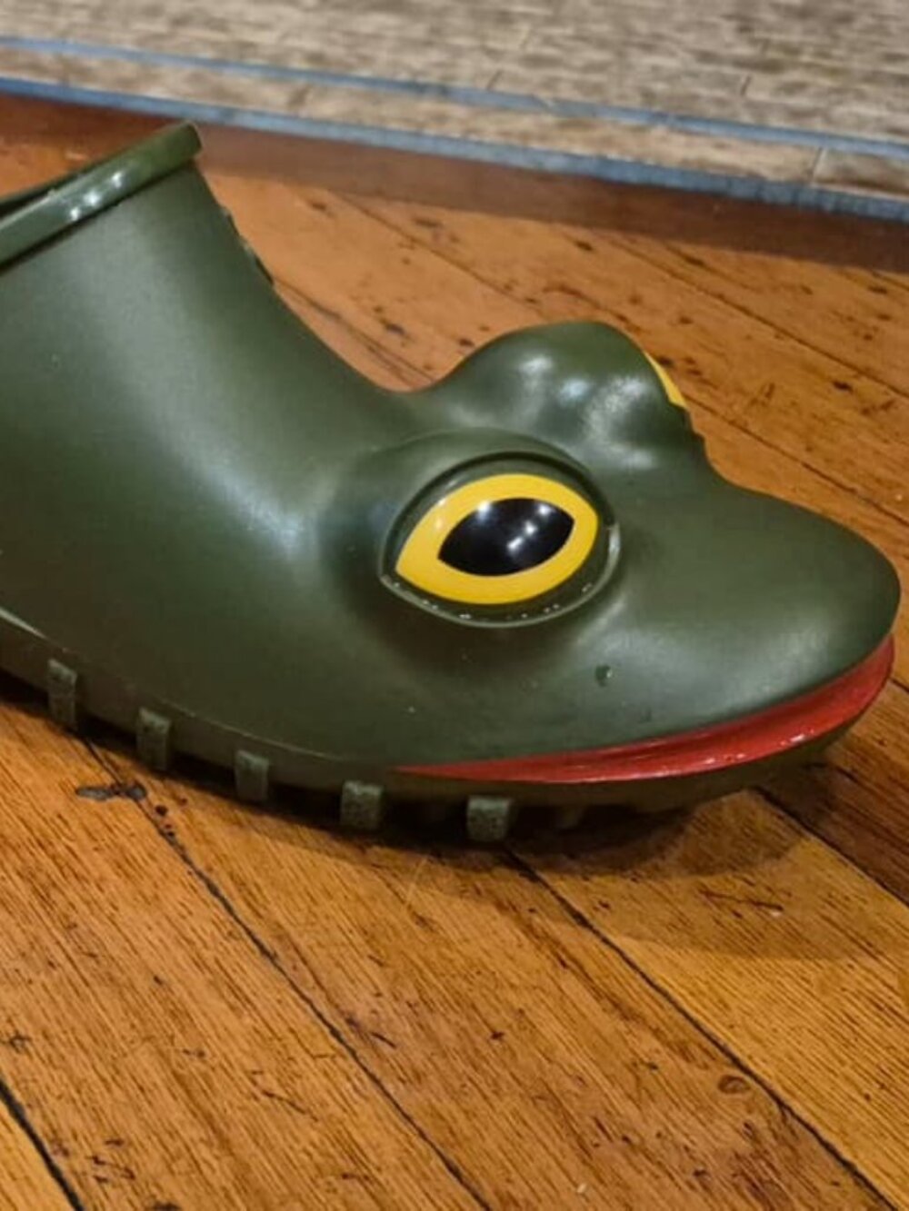 Wellipets Frog Clogs - Picture 5 of 5